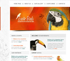 Exotic Birds Website Template